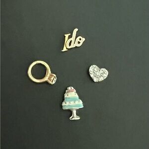 Origami Owl Set of Wedding Themed Charms